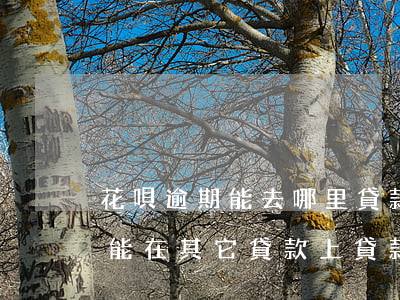 花唄逾期能去哪里貸款(花唄逾期是不是就不能在其它貸款上貸款了)