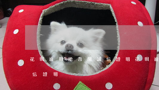 花唄逾期能否開誠信證明(花唄逾期能否開誠信證明)