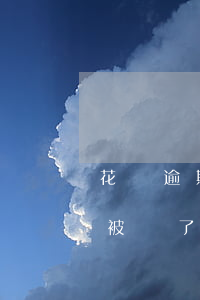 花唄逾期能坐動車飛機(jī)嗎(花唄逾期被鎖了征信可以做高鐵飛機(jī)嗎)
