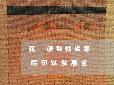 花唄逾期能坐高鐵動車嗎(花唄逾期不還款以后可以坐高全鐵嗎)