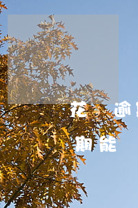花唄逾期能幫人擔(dān)保貸款(花唄逾期能幫人擔(dān)保貸款)