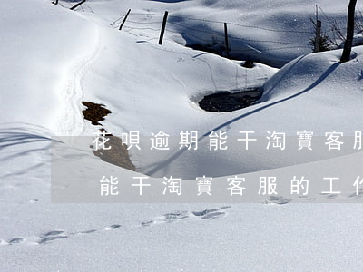 花唄逾期能干淘寶客服的工作么-花唄逾期能干淘寶客服的工作么嗎