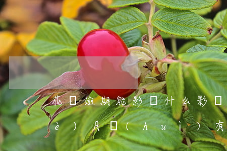 花唄逾期能影響什么影響(花唄逾期幾個(gè)月會(huì)有什么后果,有獎(jiǎng)問(wèn)答)