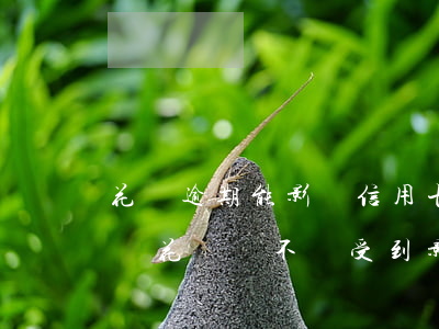 花唄逾期能影響信用卡嗎(信用卡逾期了,支付寶花唄會不會受到影響?)