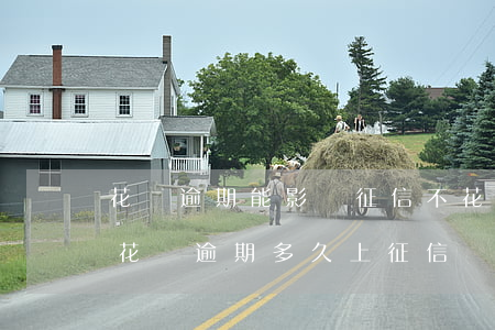 花唄逾期能影響征信不(花唄逾期有什么影響?花唄逾期多久上征信)