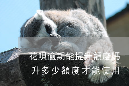 花唄逾期能提升額度嗎-花唄逾期要多久提升多少額度才能使用