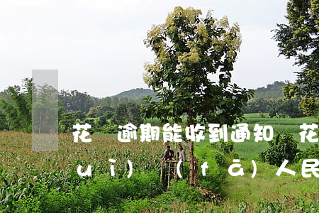 花唄逾期能收到通知嗎(花唄逾期多久會(huì)發(fā)人民法院什么的信息警告)