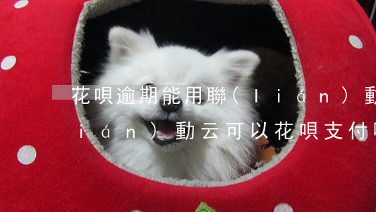 花唄逾期能用聯(lián)動云嗎(聯(lián)動云可以花唄支付嗎?)