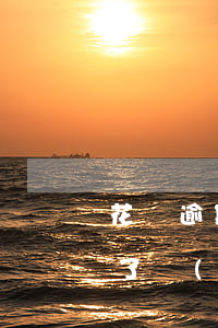 花唄逾期能申訴回來(lái)嗎(花唄逾期了,現(xiàn)在還了,怎么可以恢復(fù)使用)