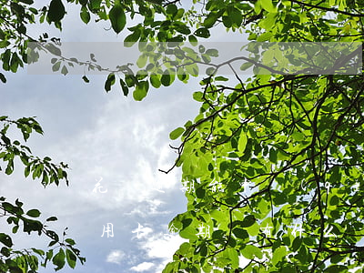 花唄逾期能申請(qǐng)的貸款(花唄信用卡逾期還有什么辦法貸款)