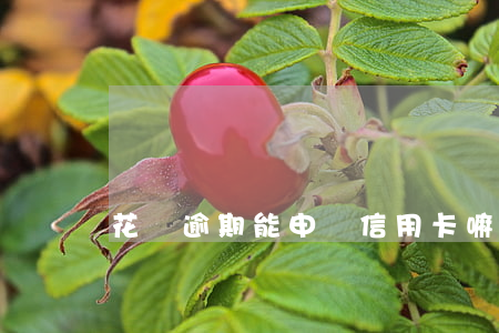 花唄逾期能申請信用卡嘛