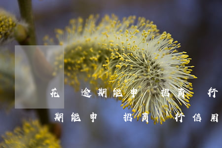花唄逾期能申請招商銀行信用卡嗎-花唄逾期能申請招商銀行信用卡嗎安全嗎