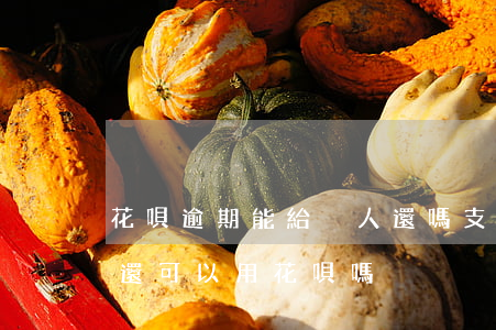 花唄逾期能給別人還嗎(支付寶逾期還了以后,還可以用花唄嗎)