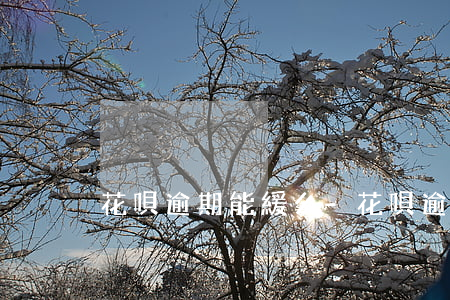 花唄逾期能緩么-花唄逾期能緩么