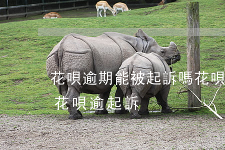 花唄逾期能被起訴嗎(花唄逾期多久會被起訴?花唄逾起訴)