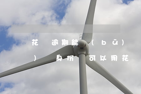 花唄逾期能補(bǔ)辦身份證嗎(補(bǔ)辦身份證可以用花唄付款嗎)