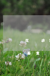 花唄逾期能買股票嗎 支付寶花唄逾期可以買基金嗎
