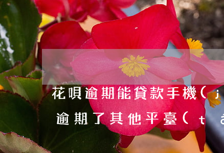花唄逾期能貸款手機(jī)嗎(是不是花唄逾期了其他平臺(tái)也貸不了款)