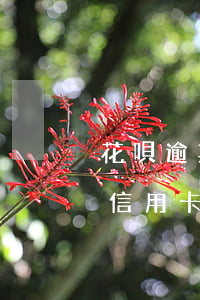 花唄逾期能辦信用卡嗎視頻(花唄逾期還能辦信用卡嗎)