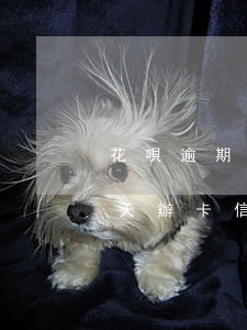 花唄逾期能辦到信用卡嗎(支付寶花唄逾期兩天辦卡信用卡有影響嗎)