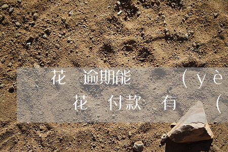 花唄逾期能辦營業(yè)執(zhí)照嗎(花唄付款沒有營業(yè)執(zhí)照開不了怎么辦)