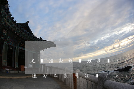 花唄逾期能辦理房產(chǎn)證嗎(花唄逾期不能用注銷(xiāo)支付寶在注冊(cè)能用不)
