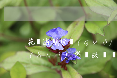 花唄逾期能過(guò)軍校政審嗎(花唄會(huì)影響政審結(jié)果嗎)