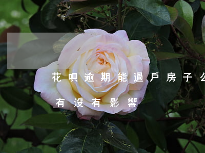 花唄逾期能過戶房子么(花唄借唄對房子過戶有沒有影響)