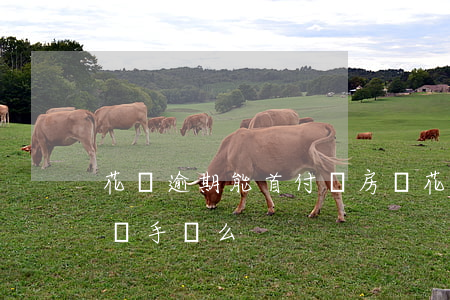 花唄逾期能首付買房嗎(花唄逾過期可以首付買手機么)