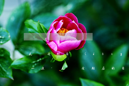 花唄逾期自動(dòng)扣款是多久扣款一次-花唄逾期后的自動(dòng)還款還要付手續(xù)費(fèi)?