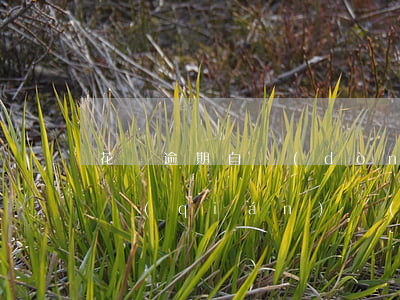 花唄逾期自動(dòng)扣款(花唄逾期有錢(qián)轉(zhuǎn)入就直接扣款怎么關(guān)閉)