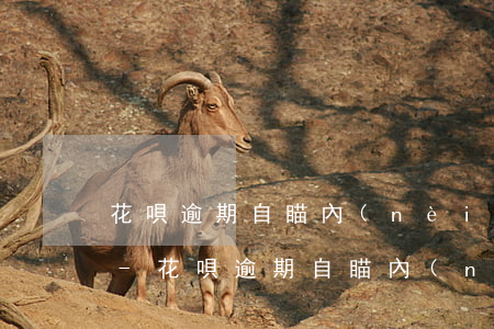 花唄逾期自瞄內(nèi)還了會上征信嗎-花唄逾期自瞄內(nèi)還了會上征信嗎怎么辦