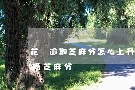花唄逾期芝麻分怎么上升(花唄多久不還會降低芝麻分)