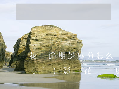 花唄逾期芝麻分怎么減(芝麻分降分了會(huì)影響花唄額度使用嗎)