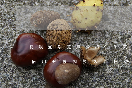 花唄逾期芝麻分扣20(支付寶花唄逾期芝麻信用分被扣多久能恢復(fù))