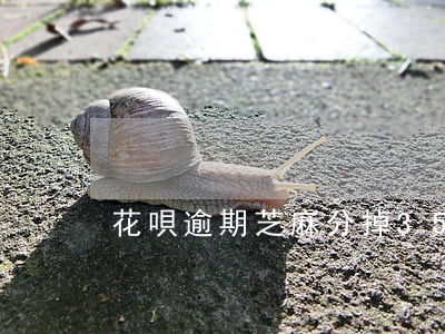 花唄逾期芝麻分掉350