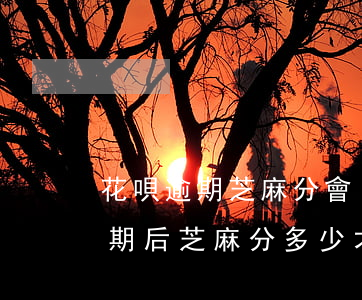 花唄逾期芝麻分會(huì)降低嗎(花唄逾期后芝麻分多少才可以繼續(xù)使用)