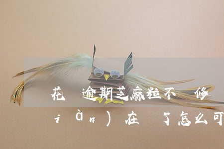 花唄逾期芝麻粒不夠修復(花唄逾期了,現(xiàn)在還了,怎么可以恢復芝麻分)