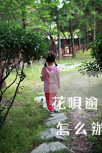 花唄逾期花唄失效怎么辦(花唄逾期花唄失效怎么辦)