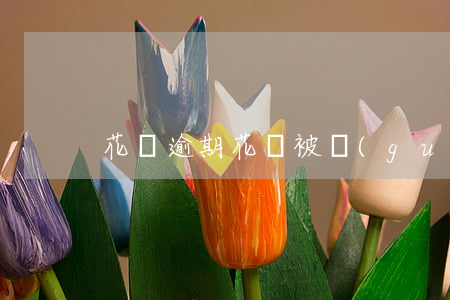 花唄逾期花唄被關(guān)怎么還