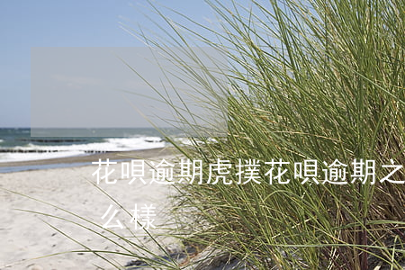 花唄逾期 虎撲(花唄逾期之后會(huì)怎么樣)