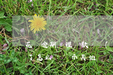 花唄逾期處理還款賬號(hào)(花唄還完了怎么還顯示其他賬號(hào)有逾期)