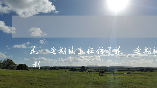 花唄逾期被上征信了(花唄逾期被上征信了有影響嗎)
