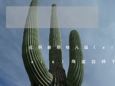 花唄逾期被人協(xié)商還款(花唄協(xié)商還款終于成功了)