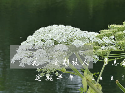 花唄逾期被人騙了怎么辦(花唄欠款3000逾期半年會(huì)不會(huì)被認(rèn)為是詐騙)