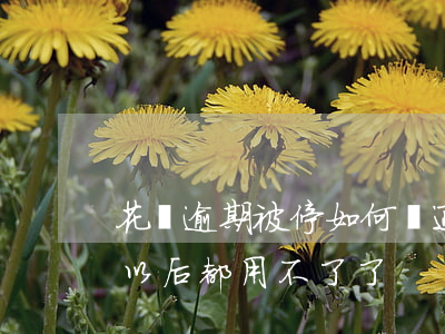 花唄逾期被停如何開通(花唄逾期停了是不是以后都用不了了)