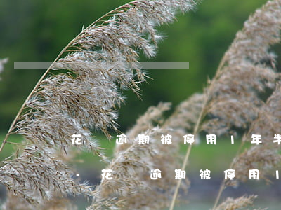 花唄逾期被停用1年半該如何恢復(fù)-花唄逾期被停用1年半該如何恢復(fù)正常