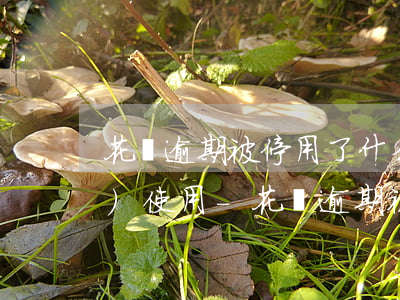 花唄逾期被停用了什么時候可以恢復(fù)使用-花唄逾期被停用了什么時候可以恢復(fù)使用額度