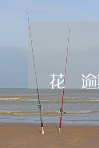 花唄逾期被催收不停(支付寶花唄逾期被催收)