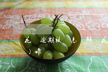 花唄逾期被凍怎樣解凍(花唄被凍結(jié)咋辦)
